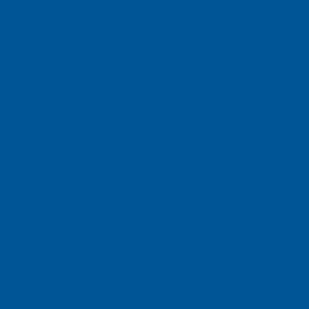 PAL ALBASTRU 125