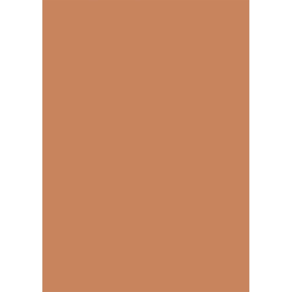 PAL E CARAMEL NUDE U830 ST9