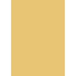 [00003654] PAL K GALBEN PASTEL D173