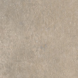 [00006212] BLAT VAN GOGH F022 PS53 4.1/38/600MM