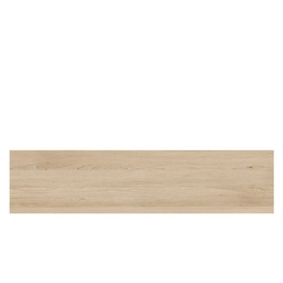 [00007495] ABS FAG NISIP NETED 21013/K013/A859 2/22MM