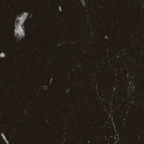 BLAT BLACK ROYAL MARBLE S63052 MS 4.1/38MM