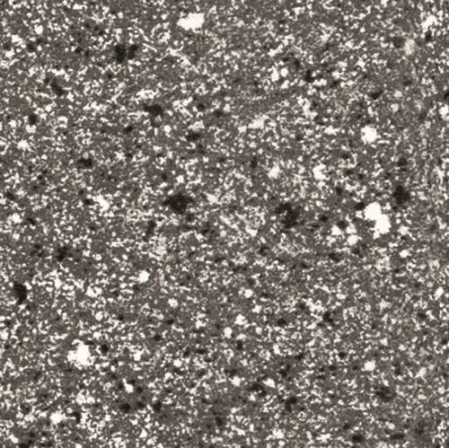 BLAT CORN F73013 TC 4.1/38MM