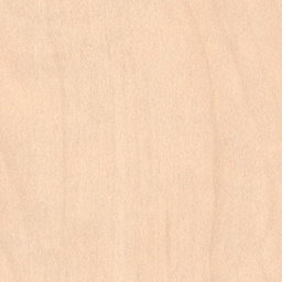 [00001677] PAL K MESTEACAN ALB A827