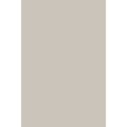 [00007823] PAL CASMIR 5981 BS